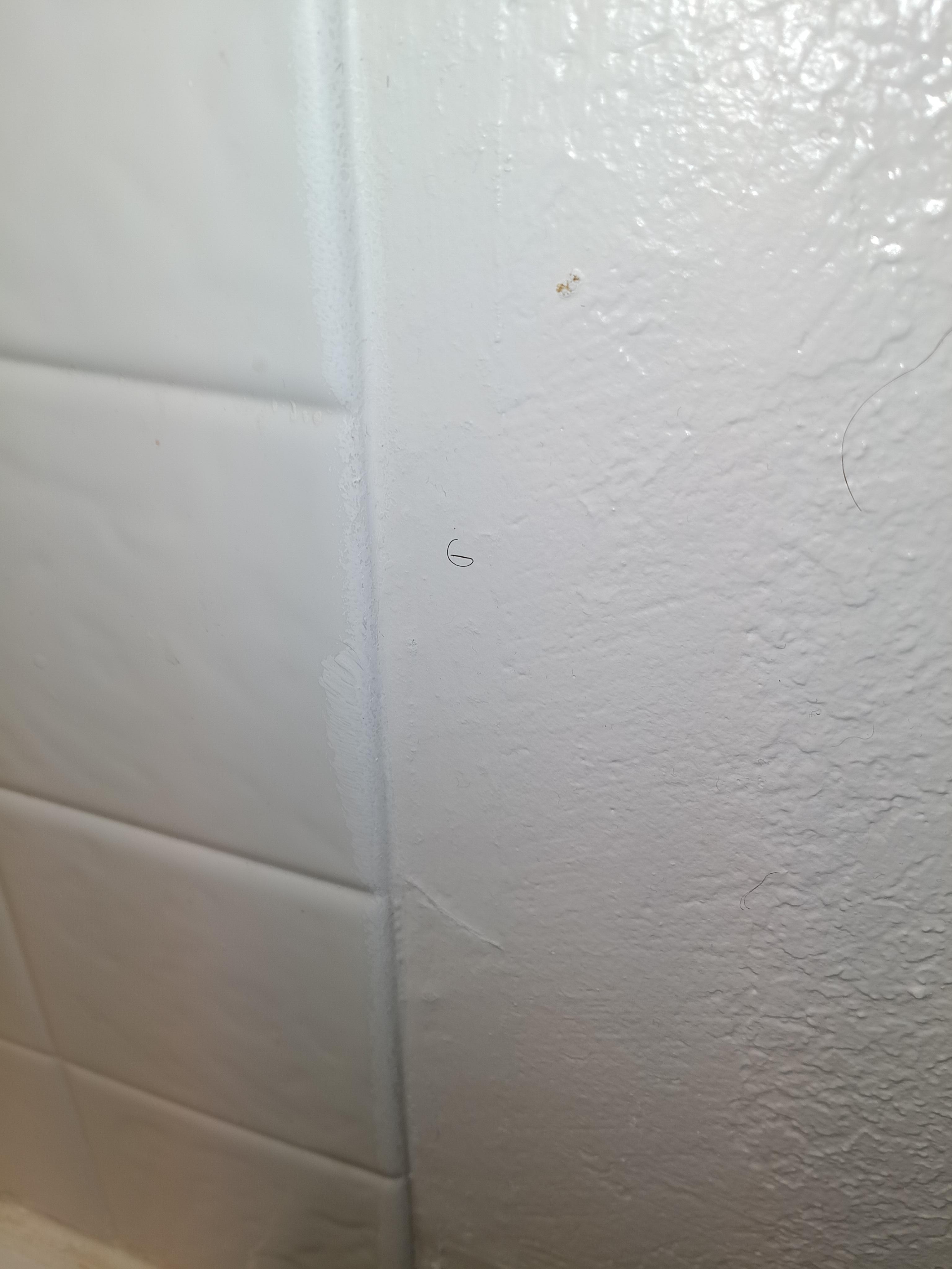Pubic hair/hair throughout bathroom and room