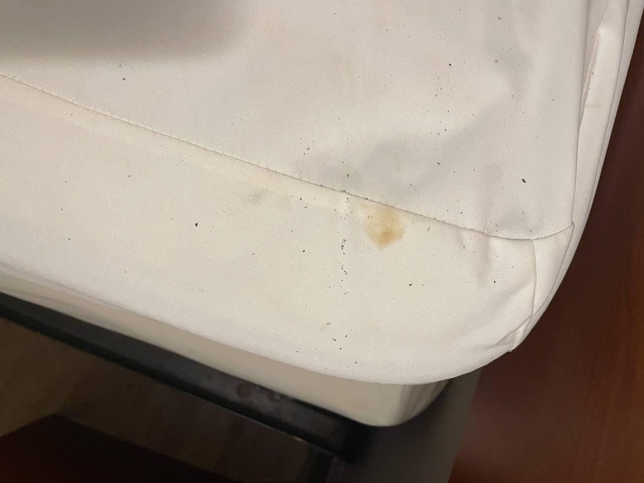 Bed bug stain