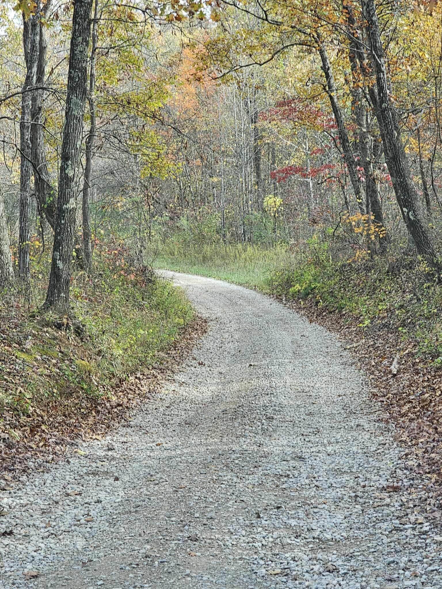 We found our own adventures