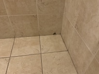 Hole in wall