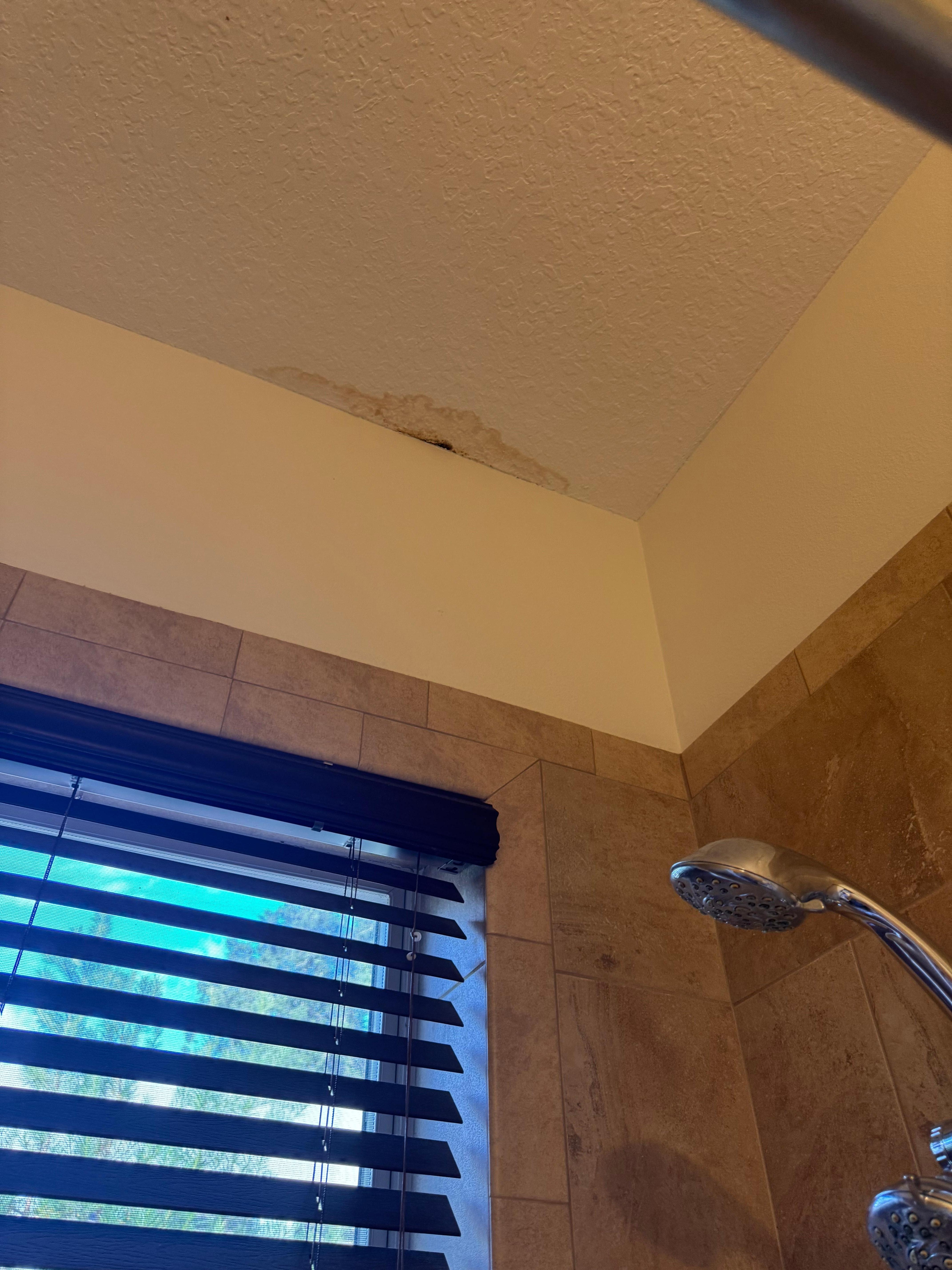 Bathroom ceiling that's moldy 