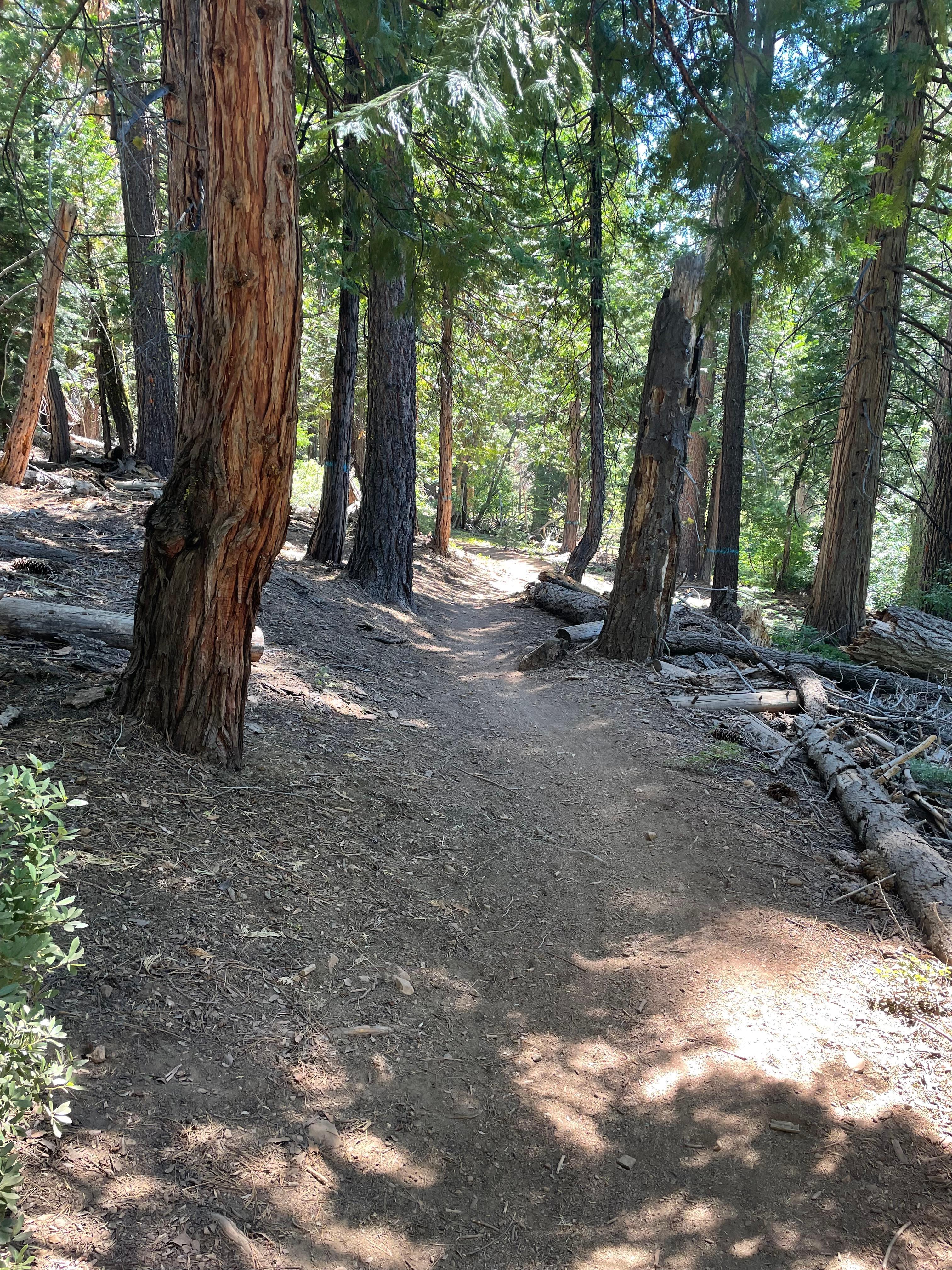 Hiking trails onsite