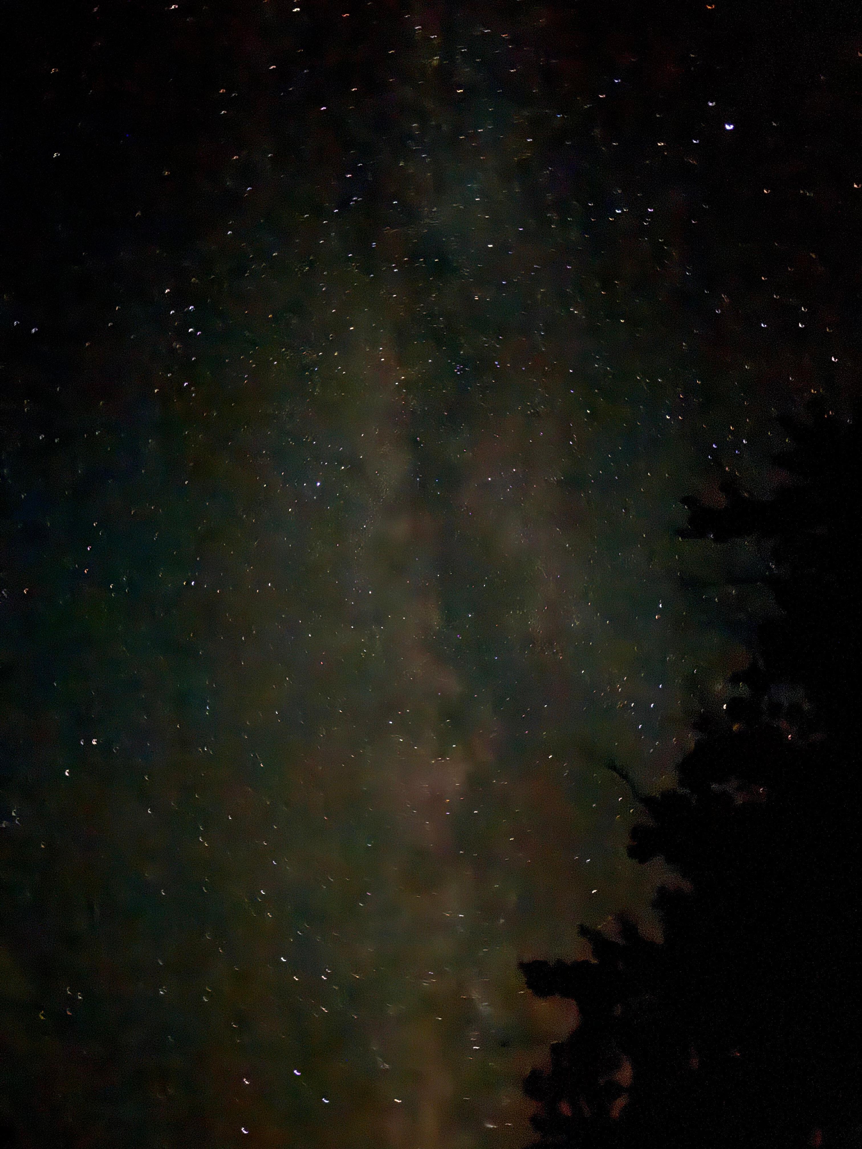 Stars in the back yard 