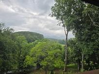 View from the porch.