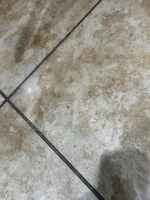 Hard to see but this is the water that was on the kitchen floor that we had to clean up