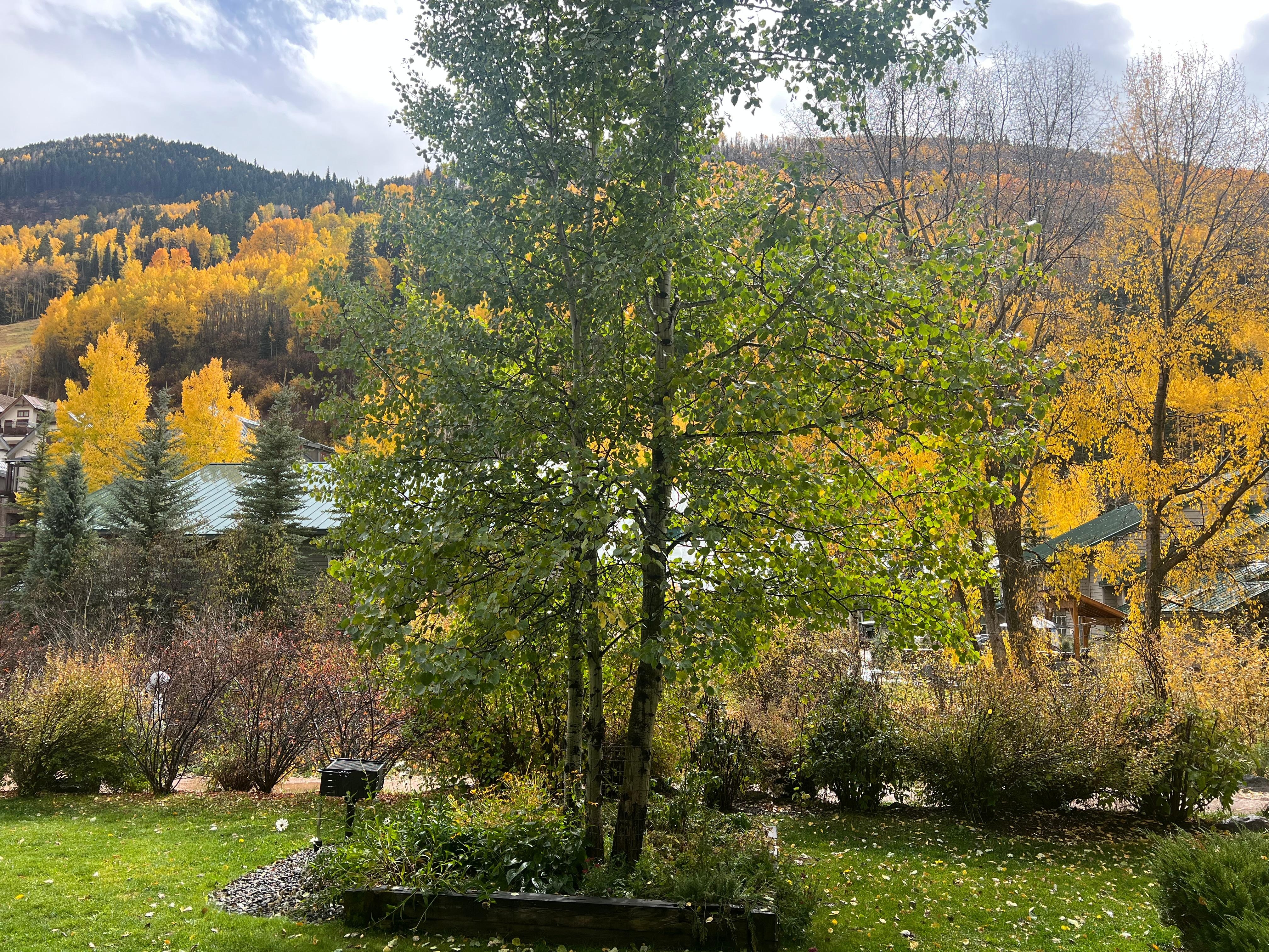 Beautiful view out the sliding glass doors!