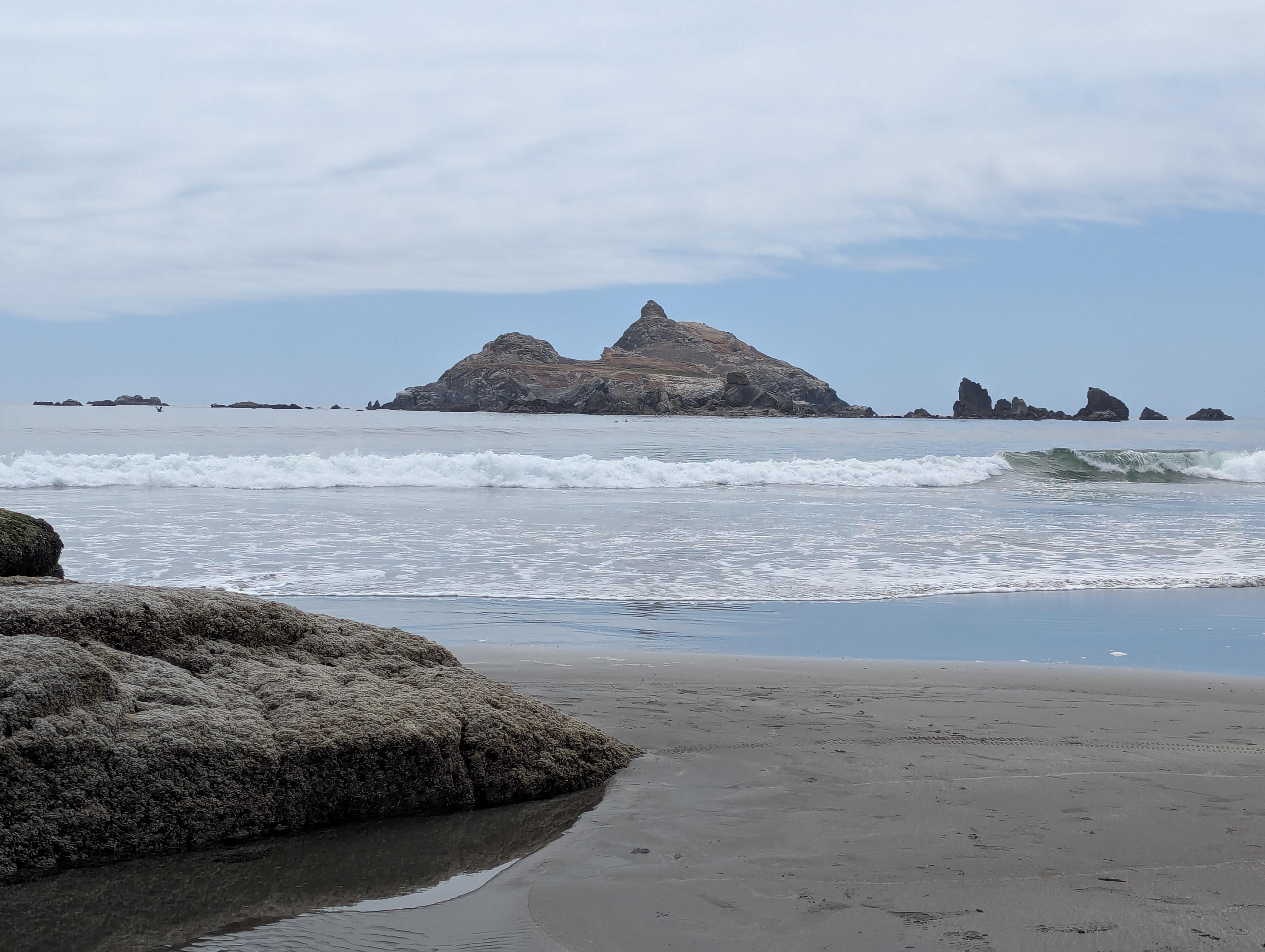 Pebble beach vista