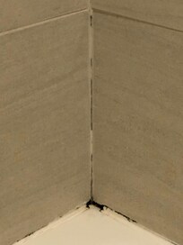 BLACK MOLD AROUND TUB