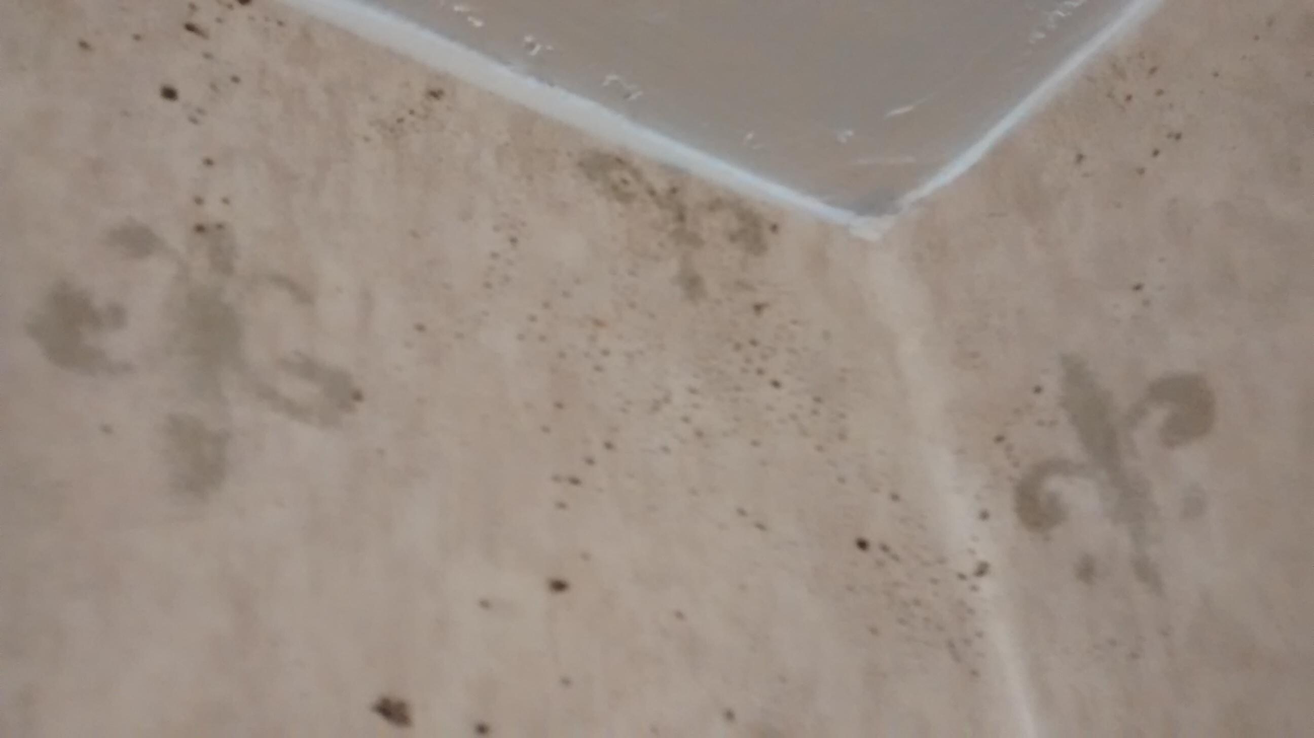 Bathroom wall vent