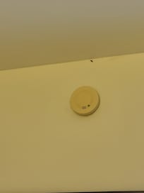 Video of the roach crawling around at 4 am