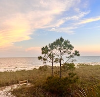 Looking off the deck.
