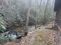 Stream behind the cabin