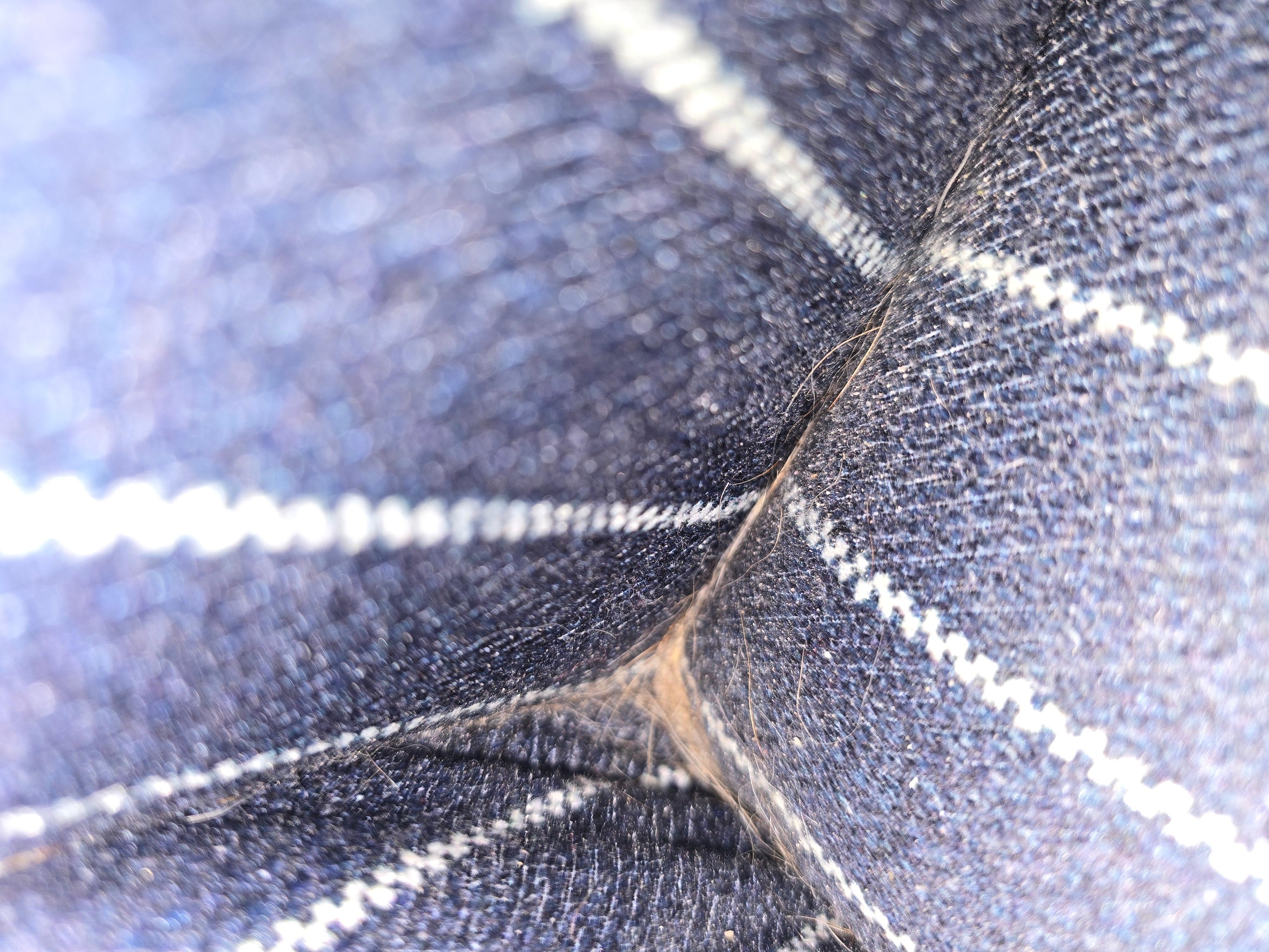 Animal hair and dust on chair not cleaned