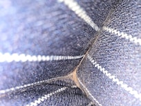 Animal hair and dust on chair not cleaned