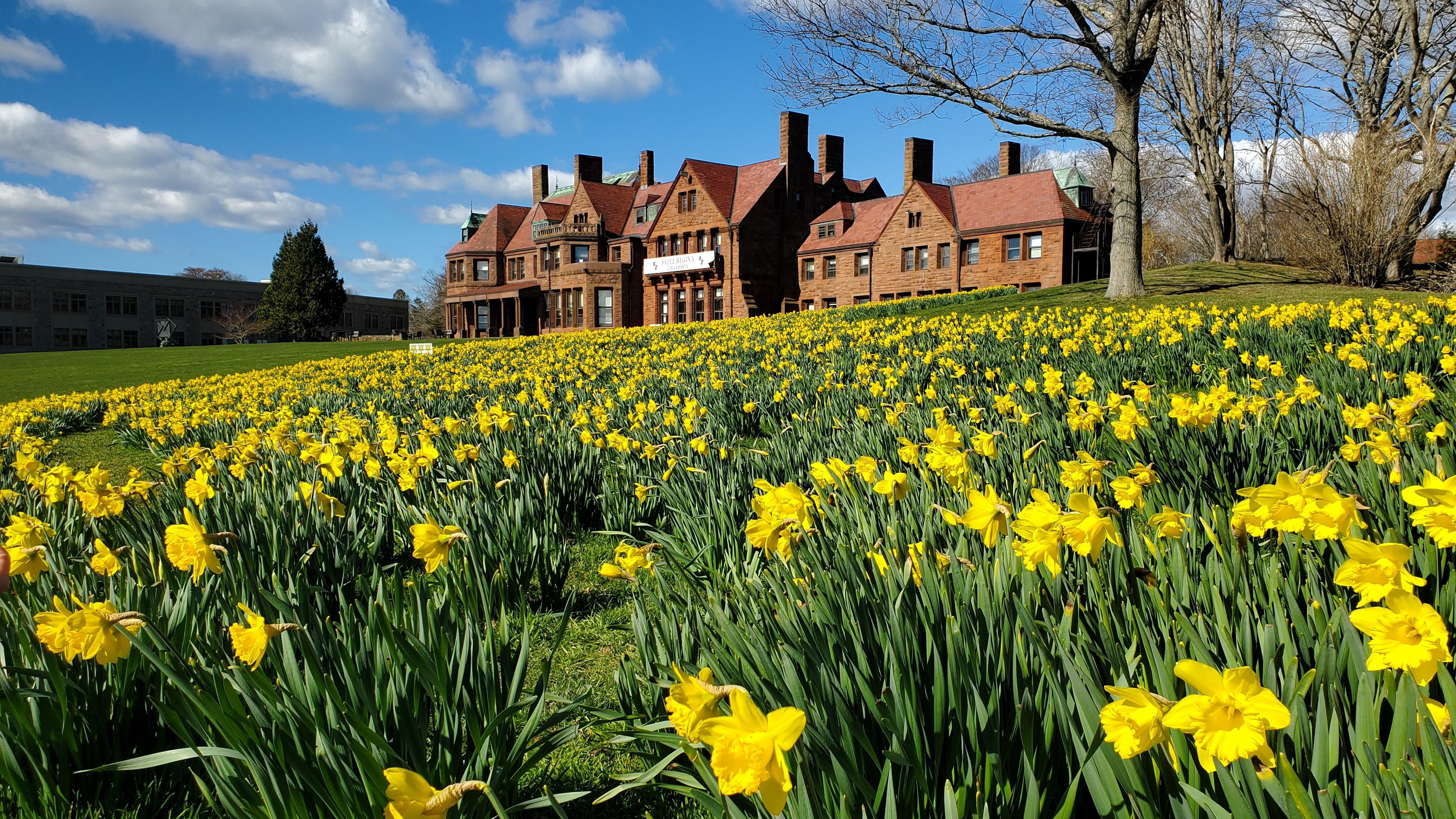 Salve Regina in April along the cliff walk