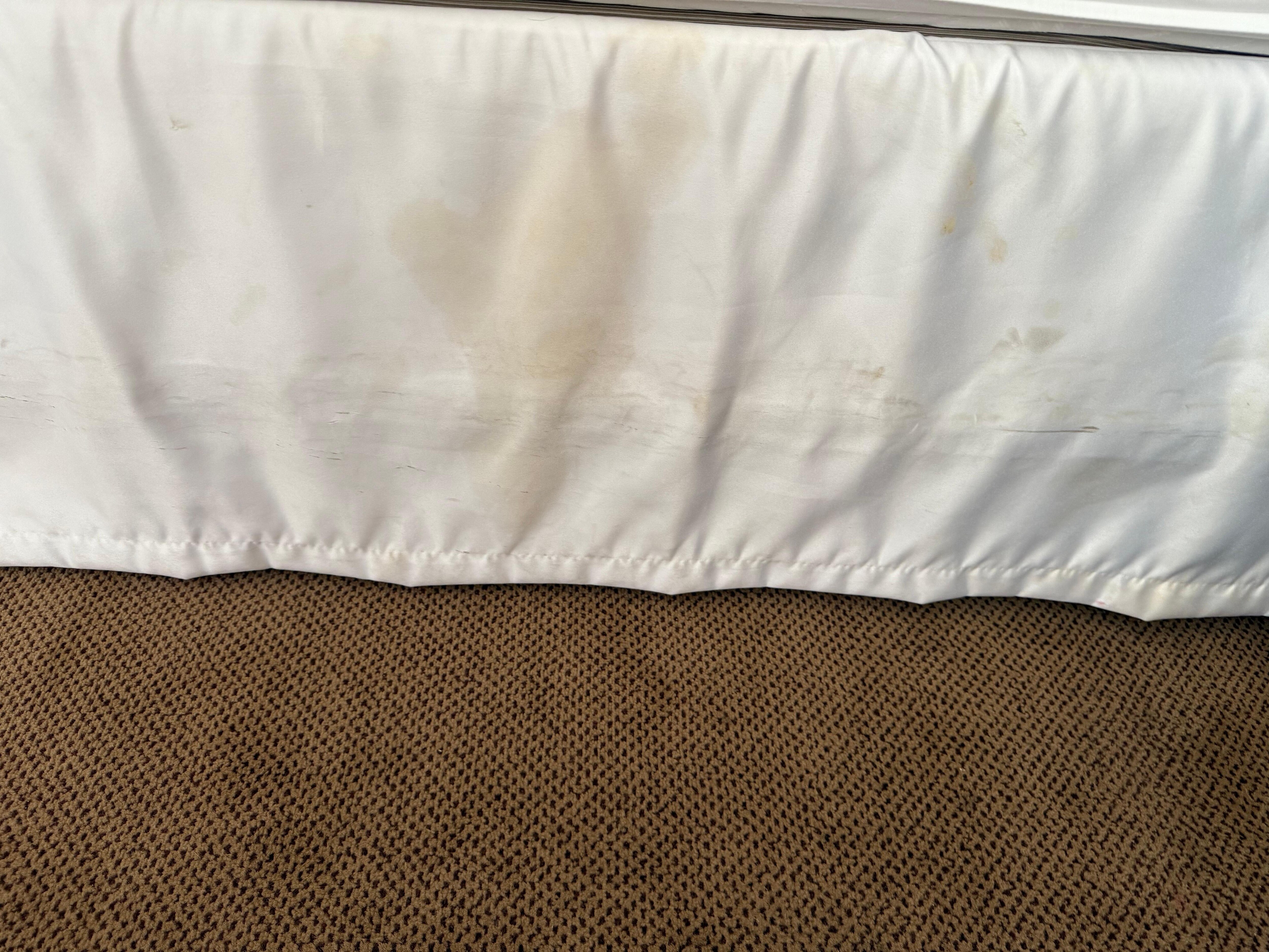 What appears to be a urine stain. 