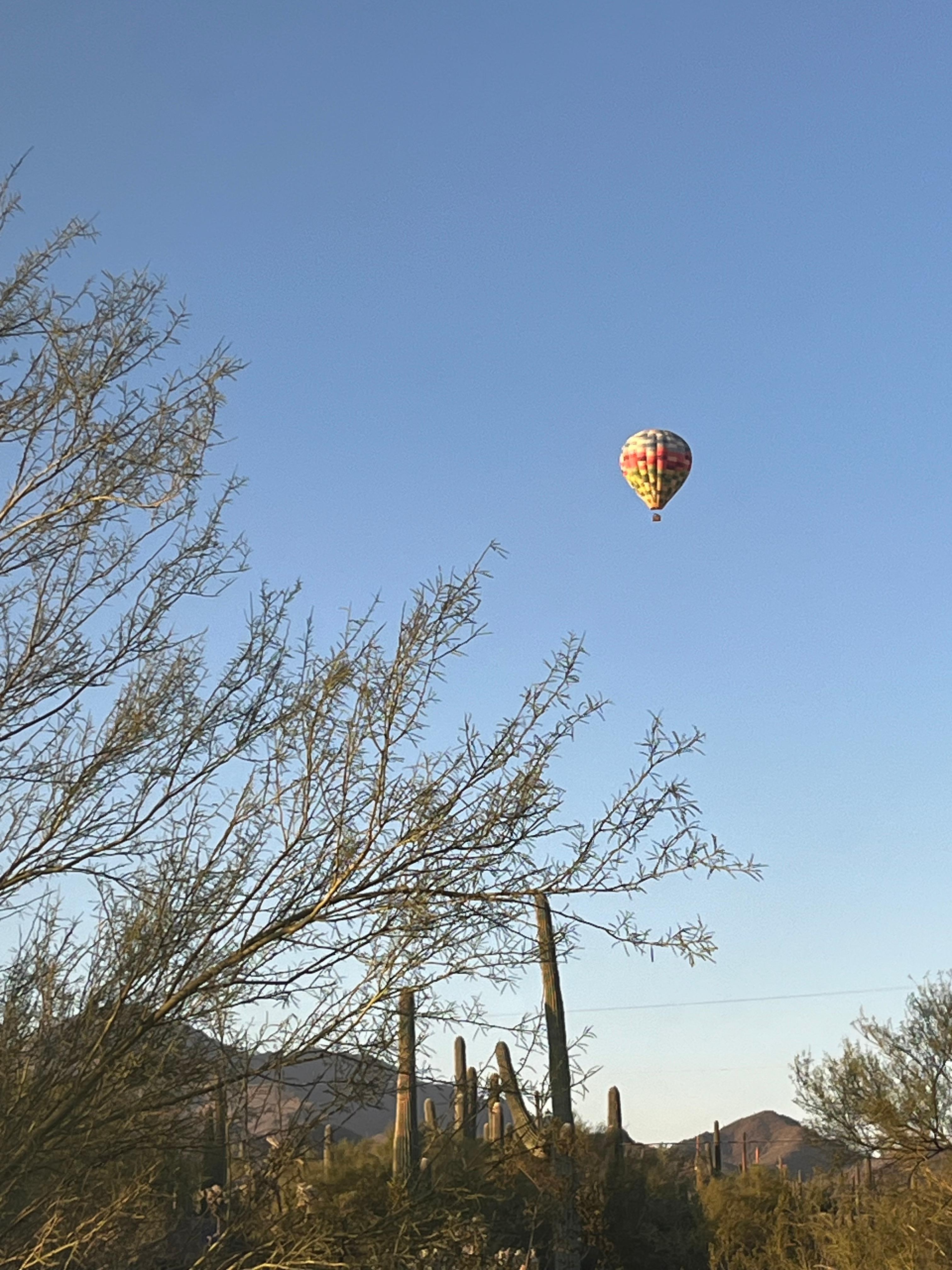 Morning views from the Glass Cottage. 