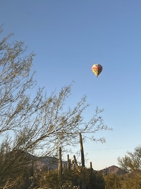 Morning views from the Glass Cottage.