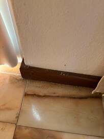 Dust and debris swept into a corner of the dinning room