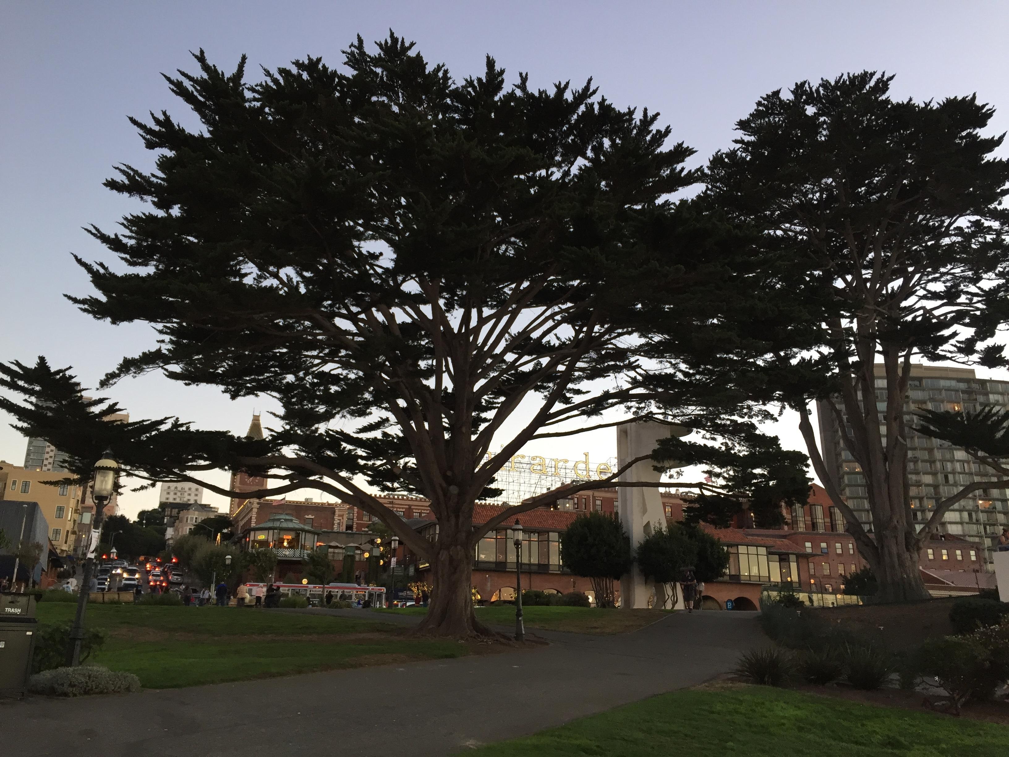 Maritime Park