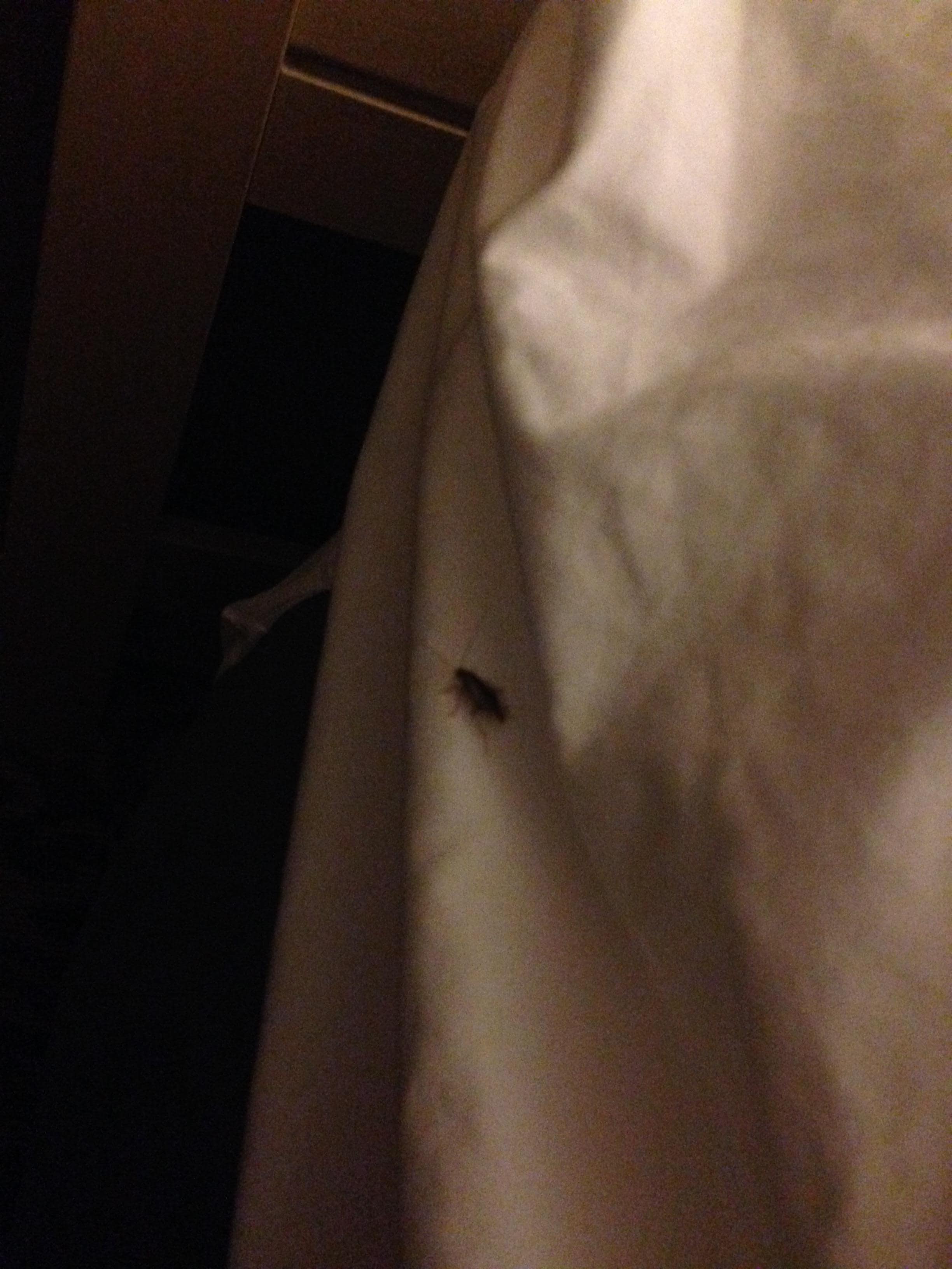 This one was on my bed