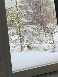 Winter im Mai