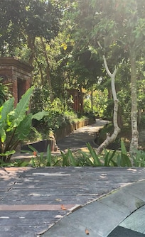 View from pool area