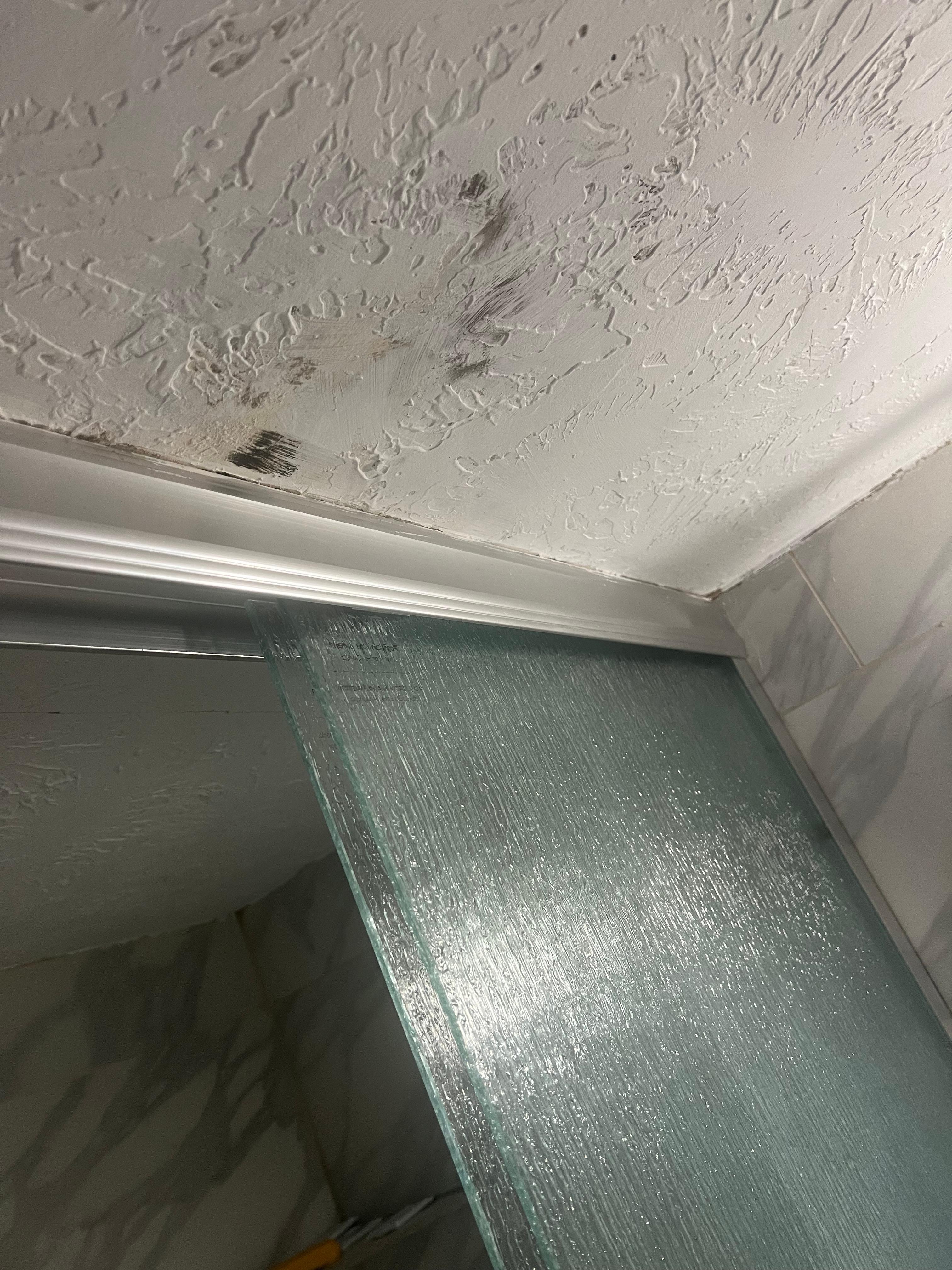 Mold spots