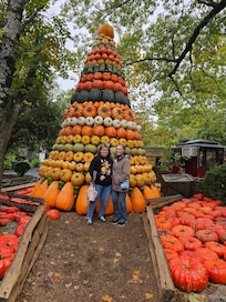 Some of the 7000 pumpkins at Silver Dollar City.