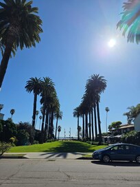 Beautiful place for walking.