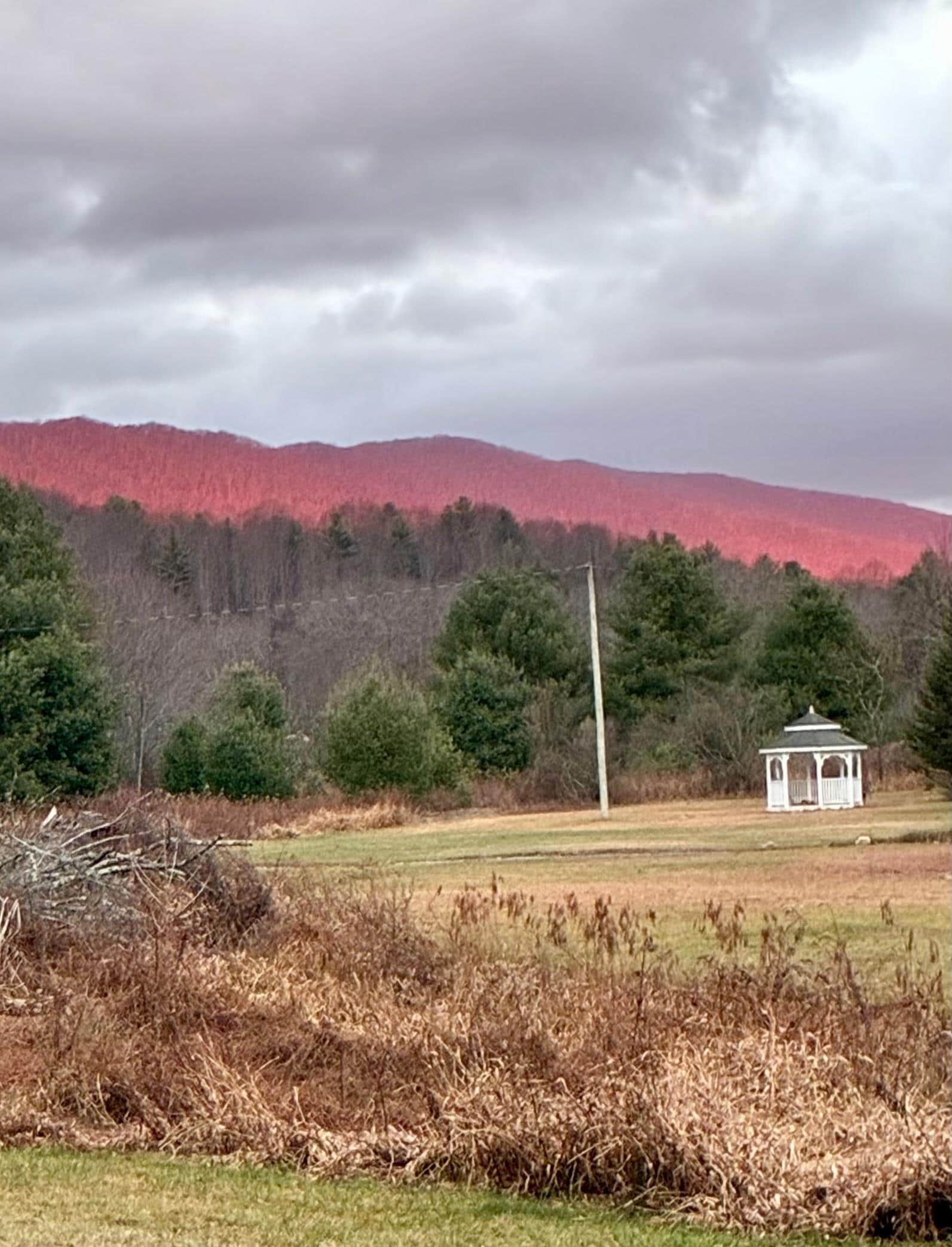 Late in the day, sun painted the ridge.
