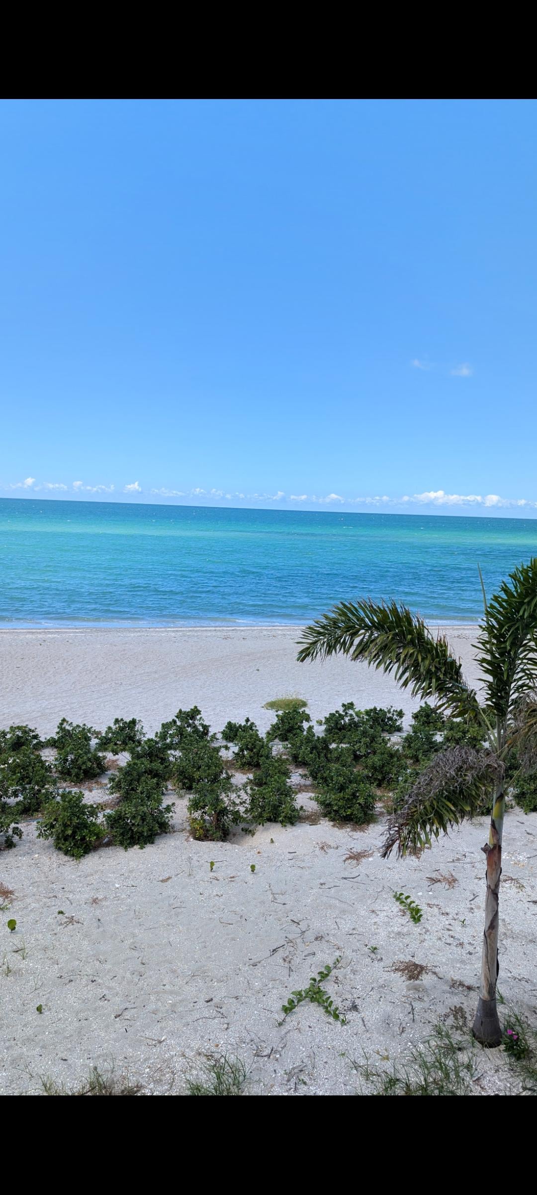 Front porch view on a perfect sunny day.