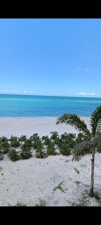 Front porch view on a perfect sunny day.