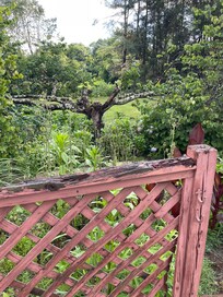 The outside of the property was badly damaged and not kept well. This fence is in ruins.