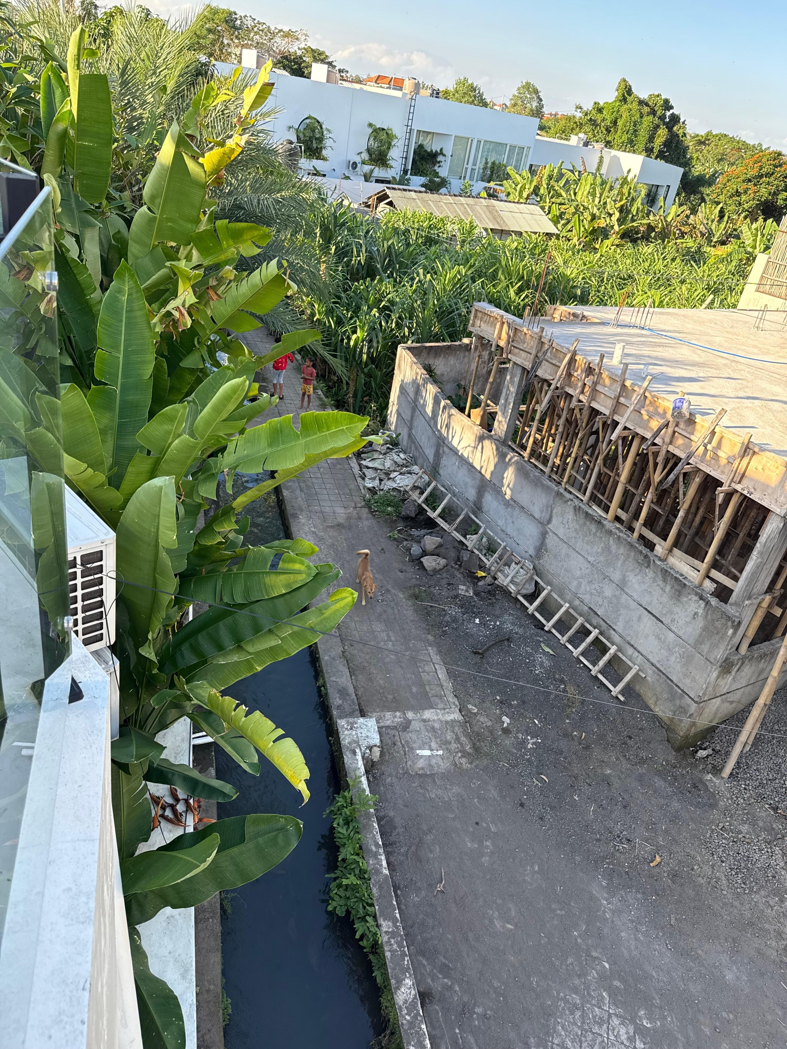 looking over edge of rooftop