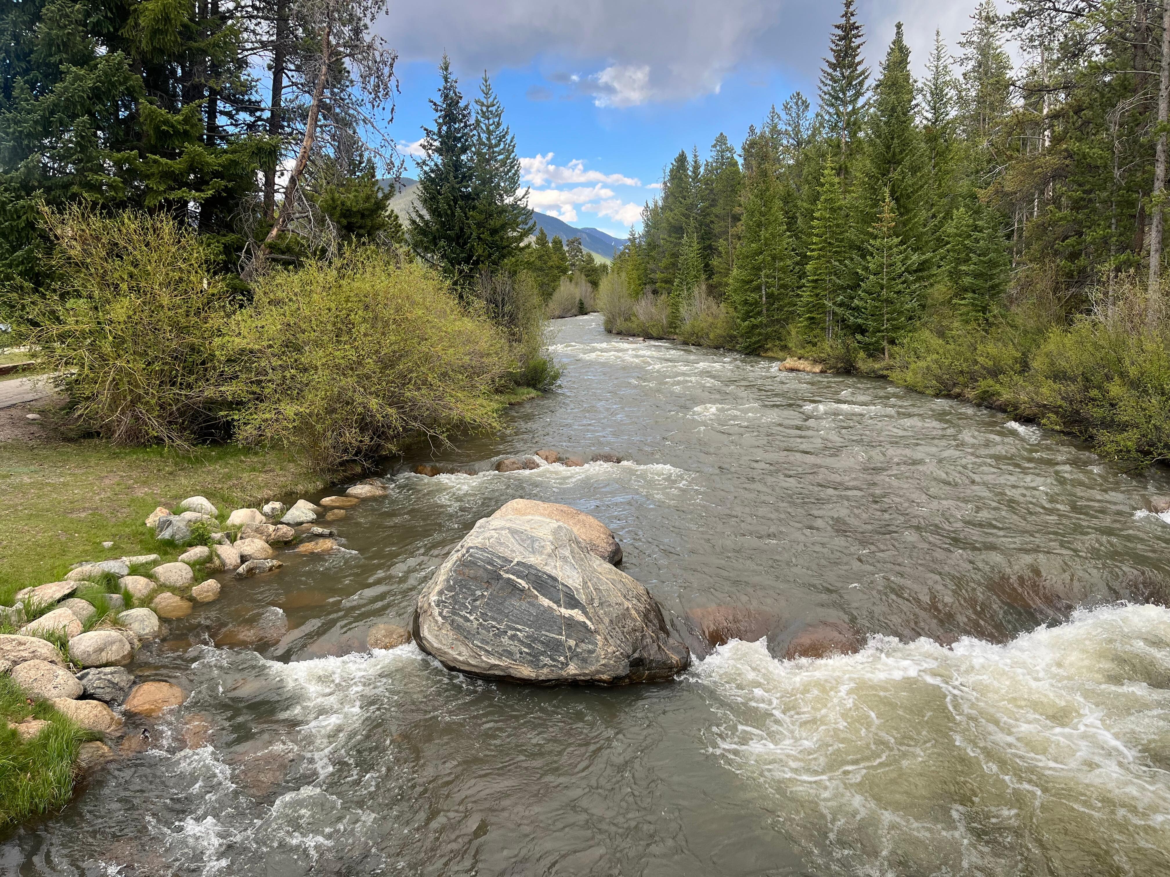 Nearby creek
