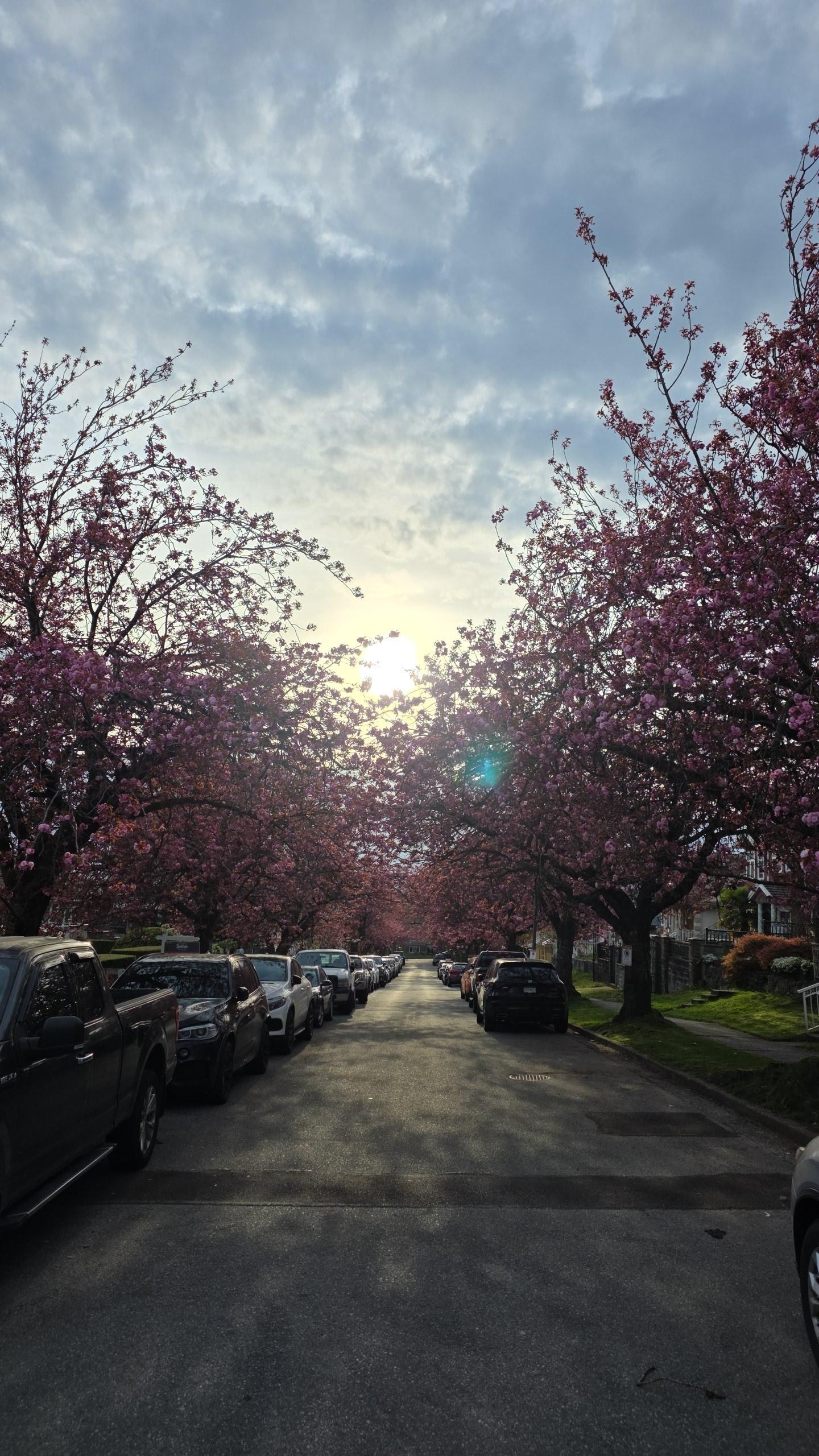 View from end of the street. Just beautiful!
