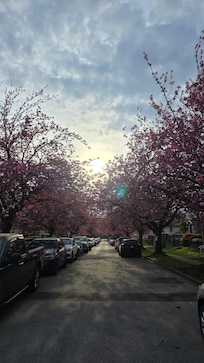 View from end of the street. Just beautiful!