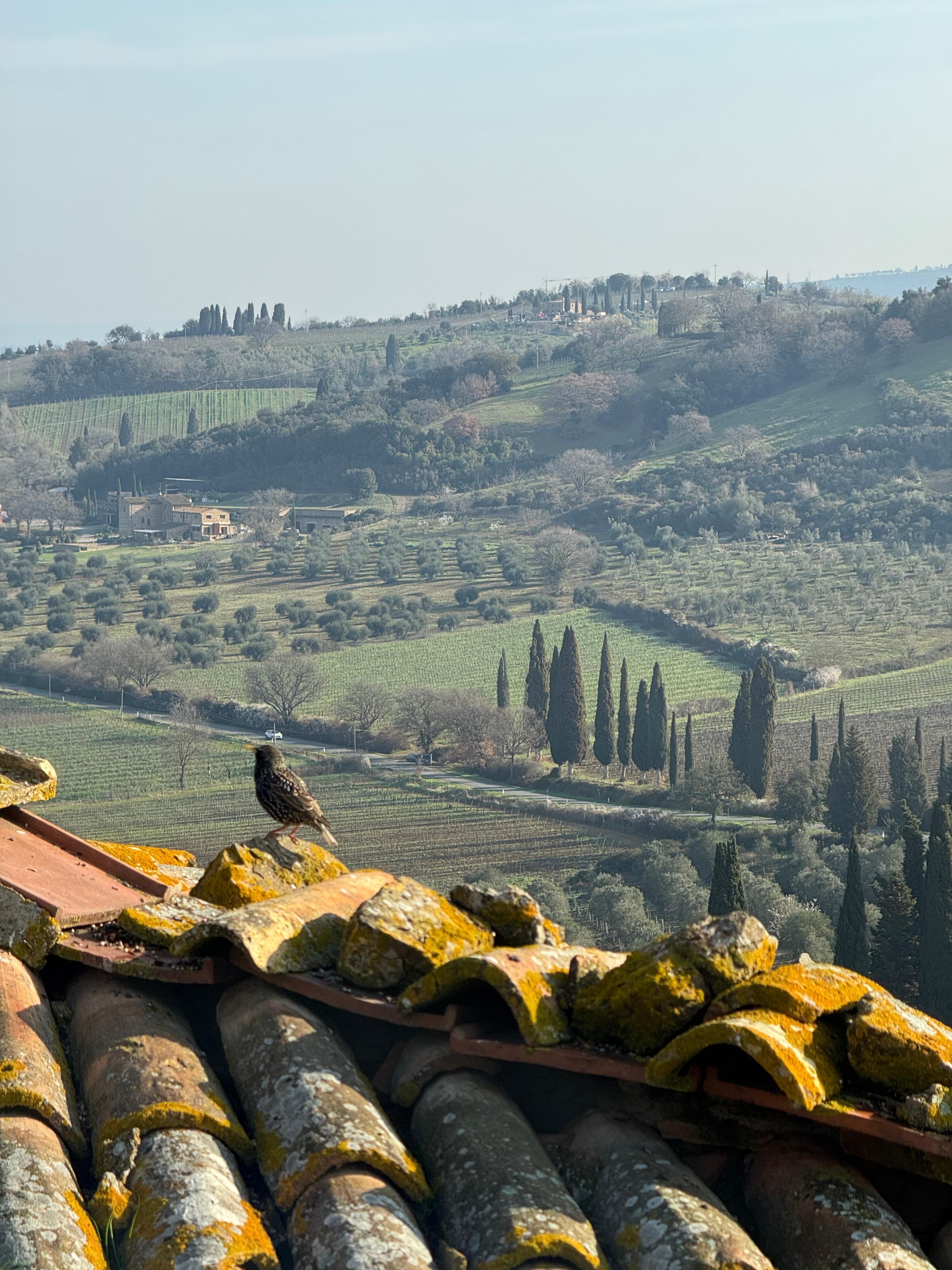 Daytime view from bedroom