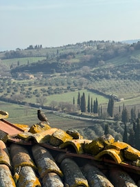 Daytime view from bedroom