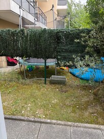 Another photo of next door’s garden