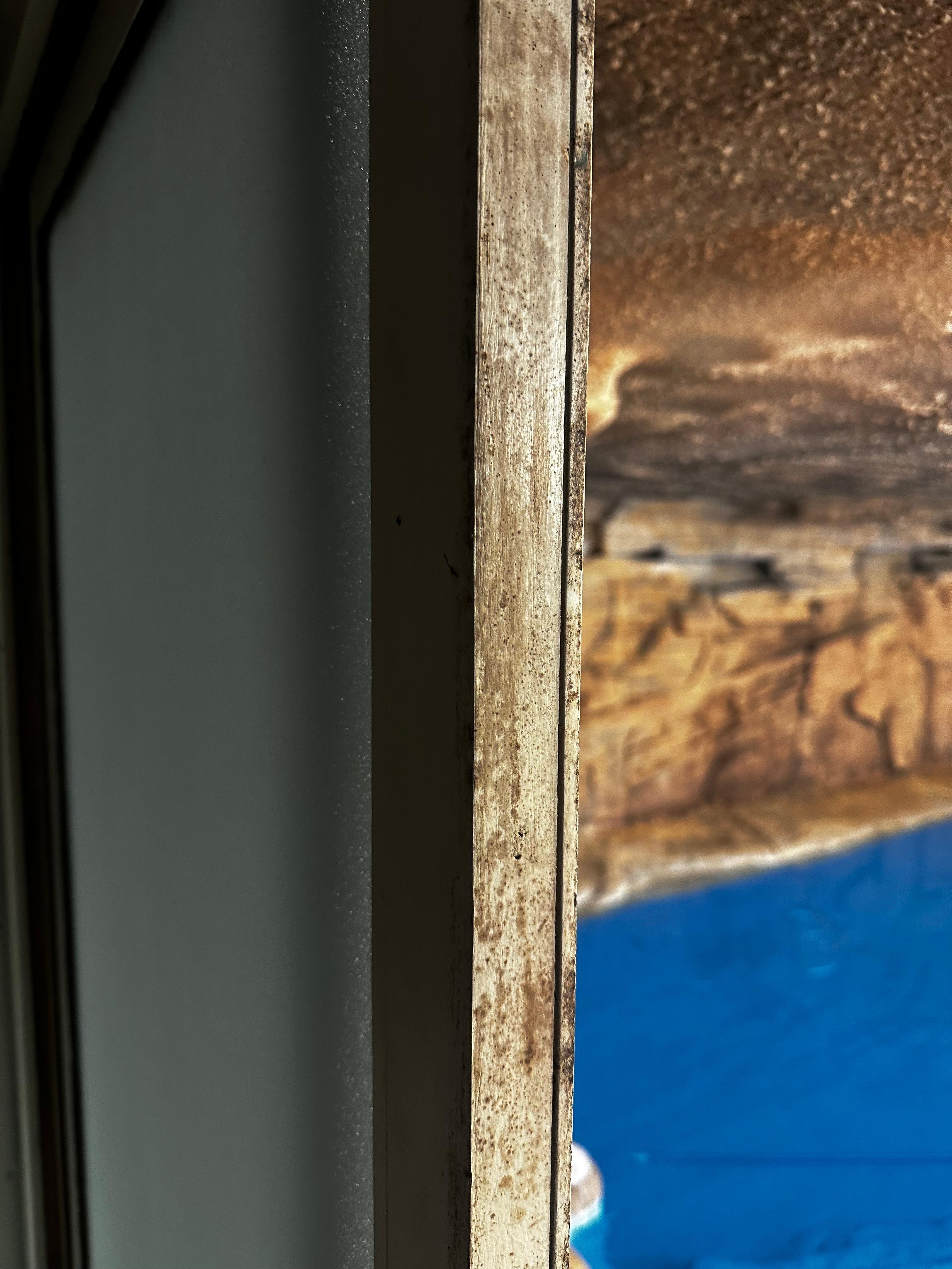 Mold growth on the door liner