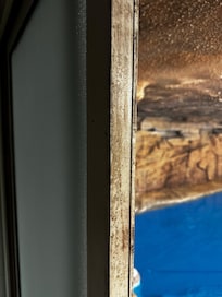 Mold growth on the door liner