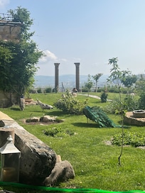 Another view