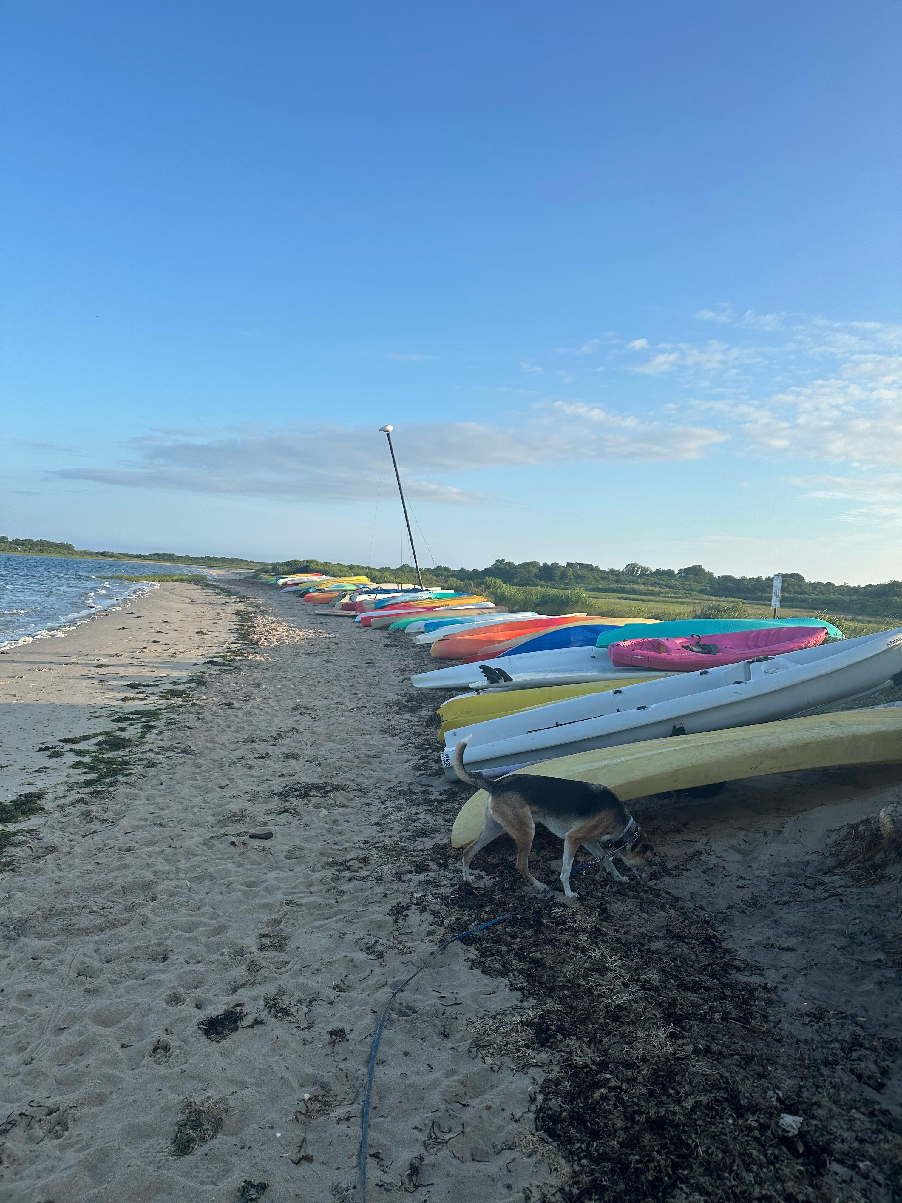 Andy's Way Great Salt Pond