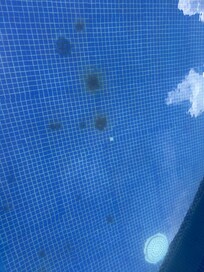 Rust in bottom of pool