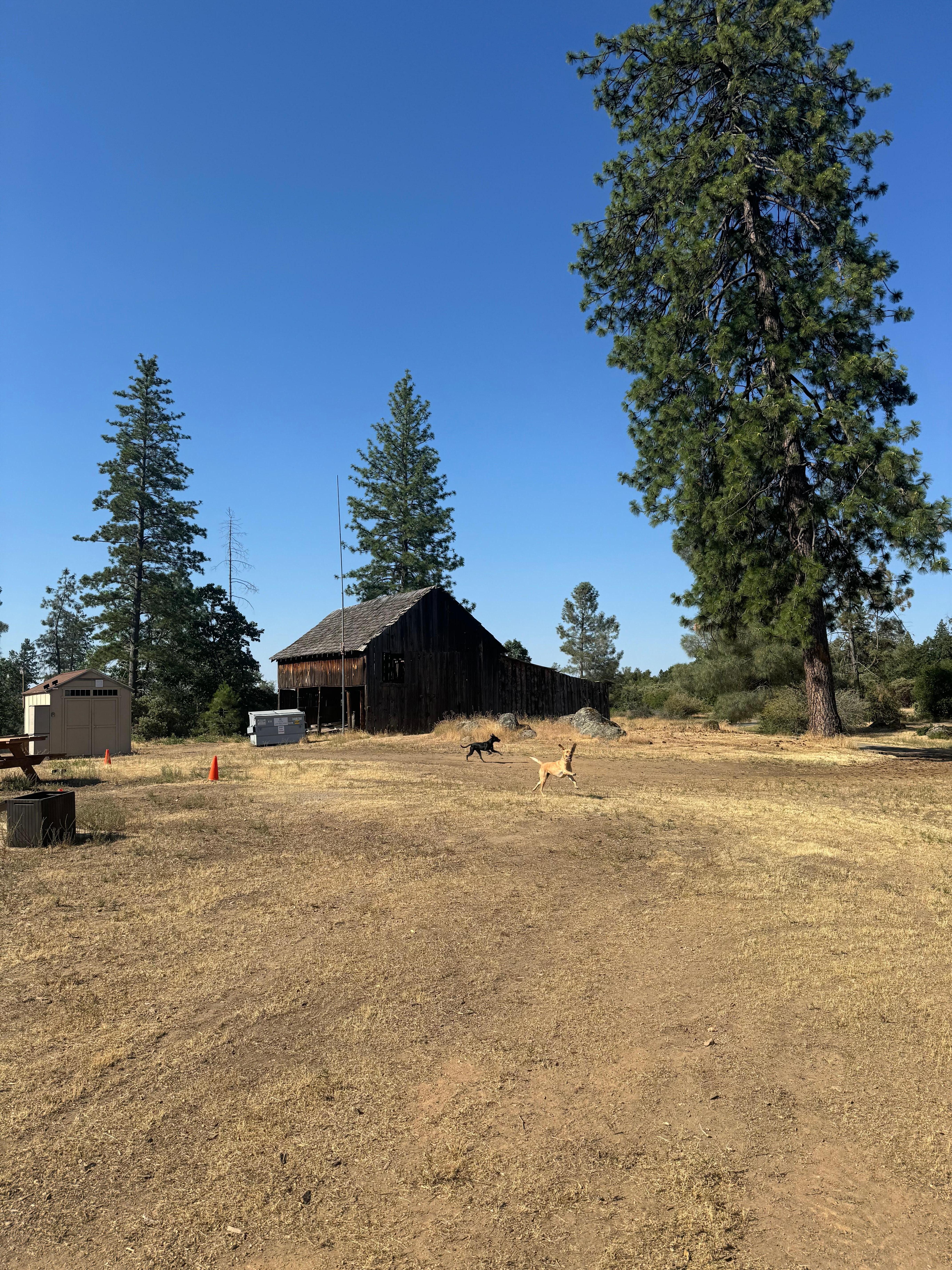 The barn