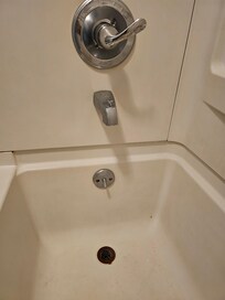Bathtub/shower drain was rusty tub had bugs in it.