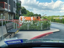 Longhorn decoration at entrance