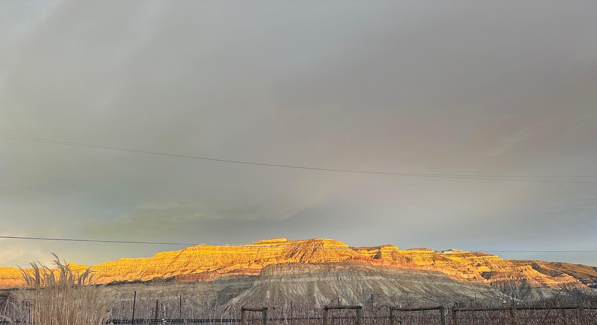 view from the side yard